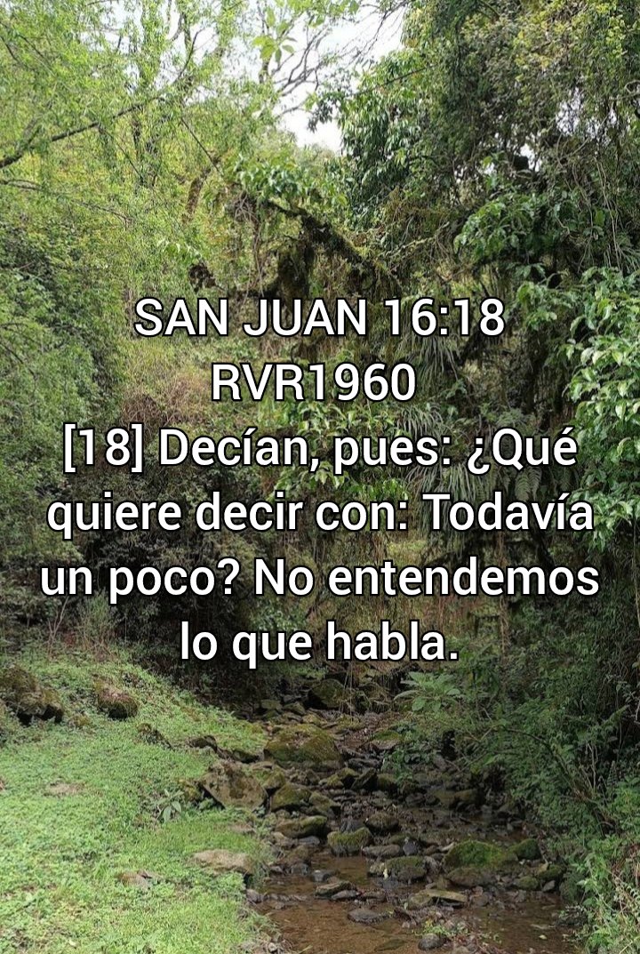 NEHEMIASLEAL's tweet photo. https://t.co/eGbg0KEH2c