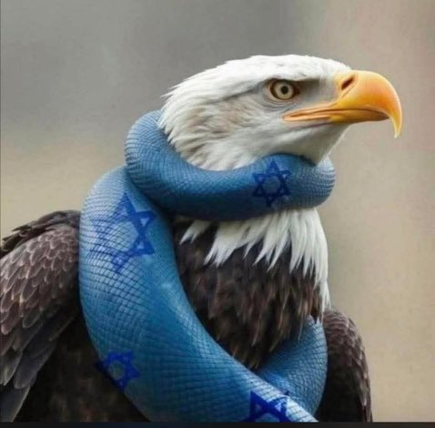 trojanbladeOG's tweet photo. @ChinaTimesX When you don’t hand over  billions for a genocide and wars, and your govt is not a slave of foreign terrorist state, amazing things can be achieved. https://t.co/w69vsGGTdp
