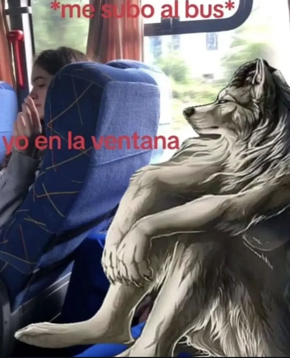 wikipistacho's tweet photo. https://t.co/f37tapah9m