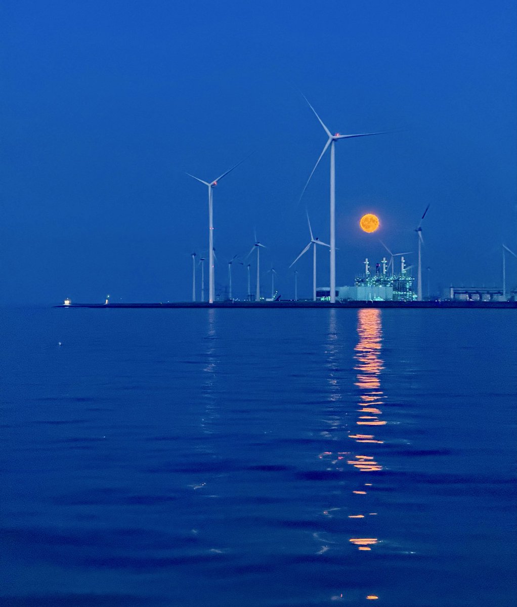 groningenzk's tweet photo. De opkomende #vollemaan boven de #eemshaven…
#eems #summertime https://t.co/byeDngPBHA