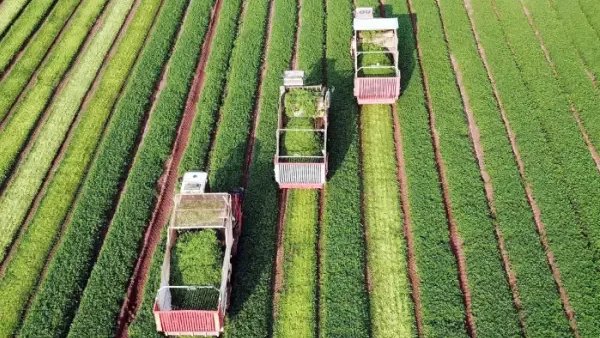 UniJaveriana's tweet photo. #LaJaverianaEnMedios 📰 Crédito para el campo se concentra en grandes productores mientras pierde espacio la inversión rural 🌱🐄.

Según el Observatorio Financiero Rural de la Pontificia Universidad Javeriana, aunque en 2024 se registraron más de 3,2 millones de créditos en las zonas rurales del país, una mayor proporción de estos recursos se está concentrando en grandes productores y en actividades de comercialización, mientras pierde participación el financiamiento para pequeños productores y proyectos de inversión.

El análisis también identificó 94 municipios con condiciones críticas de acceso al financiamiento rural, donde se evidencian bajos niveles de crédito, mayores tasas de interés, escasa presencia de mecanismos de garantía y brechas entre hombres y mujeres.

Conoce más sobre este informe y los retos del financiamiento rural en @Portafolioco.
https://t.co/ErDRaLn2yn
