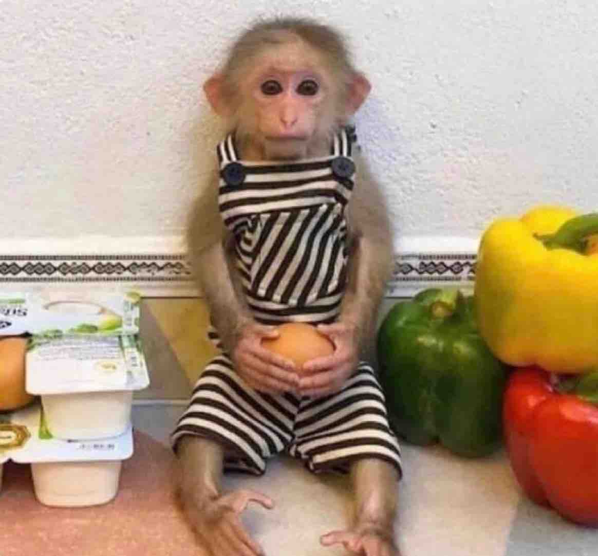Guarromantico_'s tweet photo. Yo, en la cocina viendo cómo mi mamá me prepara mi comida favorita: https://t.co/kcLvlteVYM