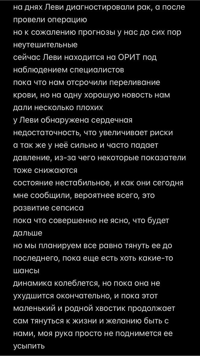 vuv_lu's tweet photo. друзья, к сожалению моя собачка Леви сейчас находится в тяжелом состоянии, и мне очень нужна ваша помощь

я знаю, что твиттерские ни раз спасали жизни
и очень надеюсь, что в этот раз тоже получится!

буду безмерно благодарна за ретвит https://t.co/zzfBpE4vsU