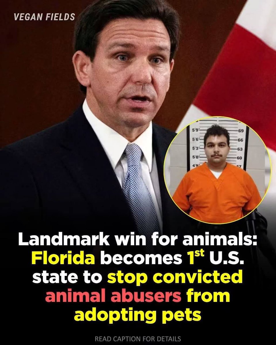 StevevickiG's tweet photo. Good, another common sense law. There should be a database of these people for animal shelters to access. https://t.co/SzQCDeAU3Y