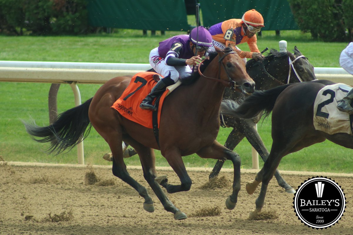 America’s Pastime Stables tweet media