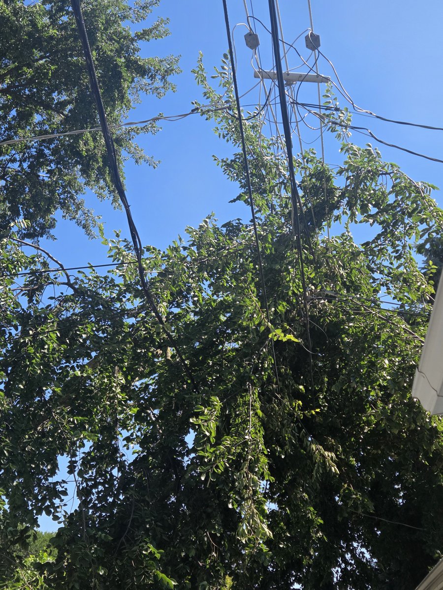 606EMT's tweet photo. @ComEd Hey there again @ComEd, so this was reported via the emergency # provided over 24 hours ago with no resolution. I know the wires aren't down, but maybe a ounce of prevention and all... you know? Any other suggestions or just play the wait and see game 🤔? https://t.co/KE3Jolh5So