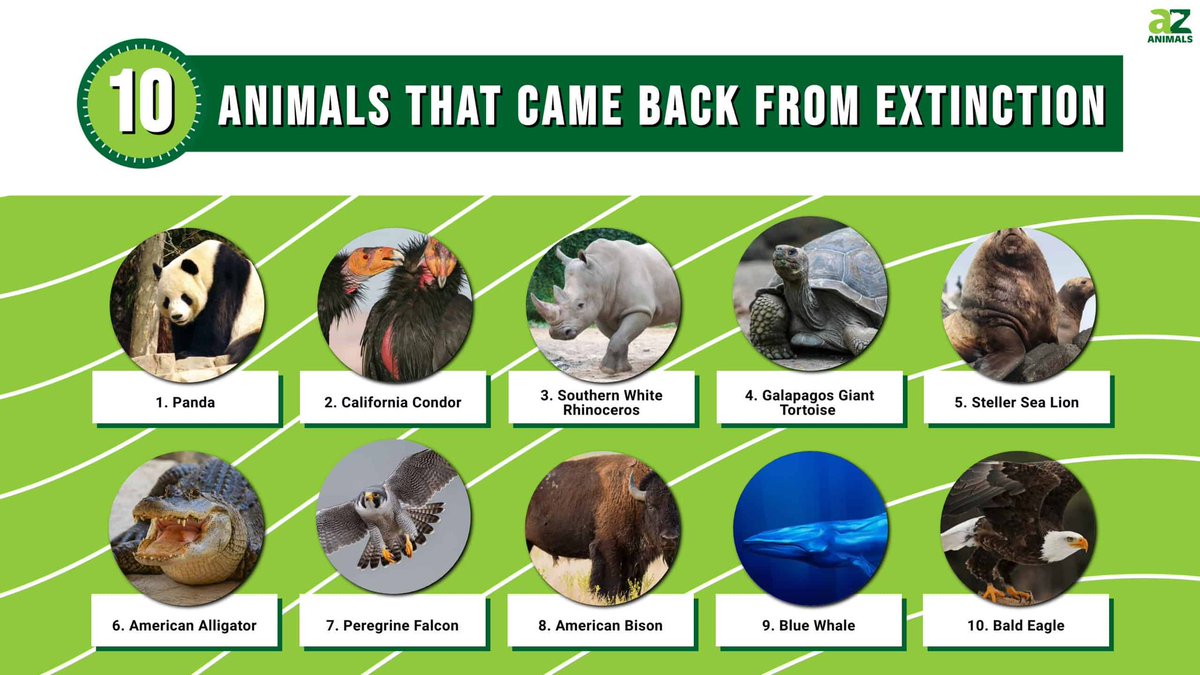 drop69420 tweet picture