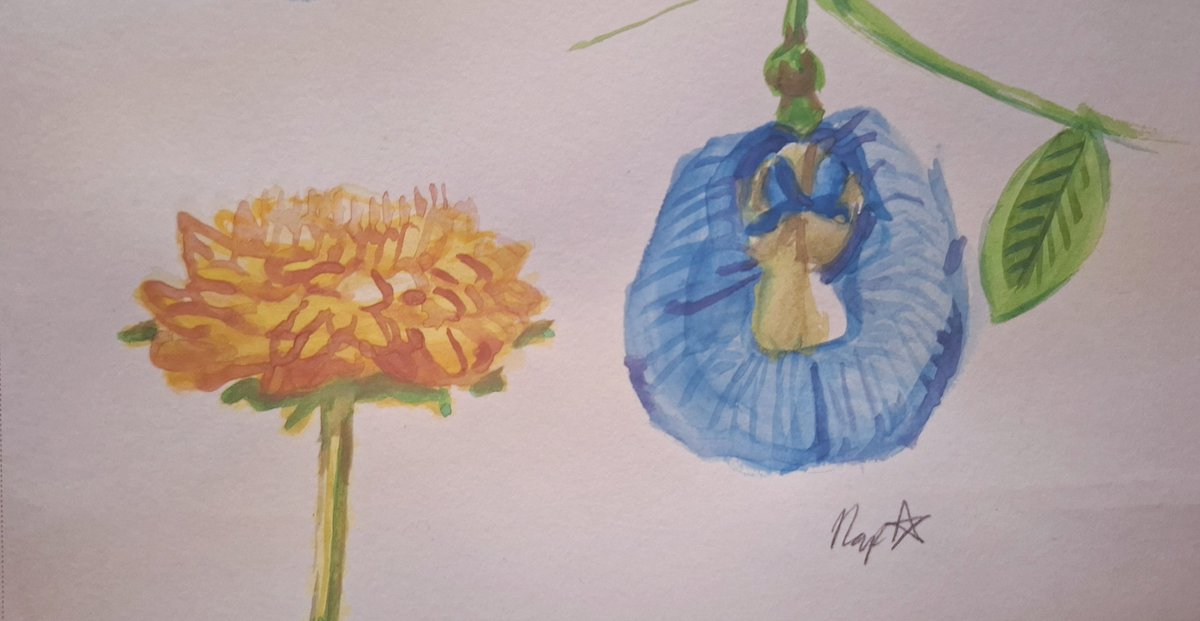 naprhgr's tweet photo. I'm trying to assign real flowers to Deltarune's 7 flowers

Maybe Yellow coukd be a dandellion, and for Blue, I was researching and found a flower called "butterfly pea" and it fits Blue perfectly

#art #traditionalart https://t.co/Pkc2vqu4t0