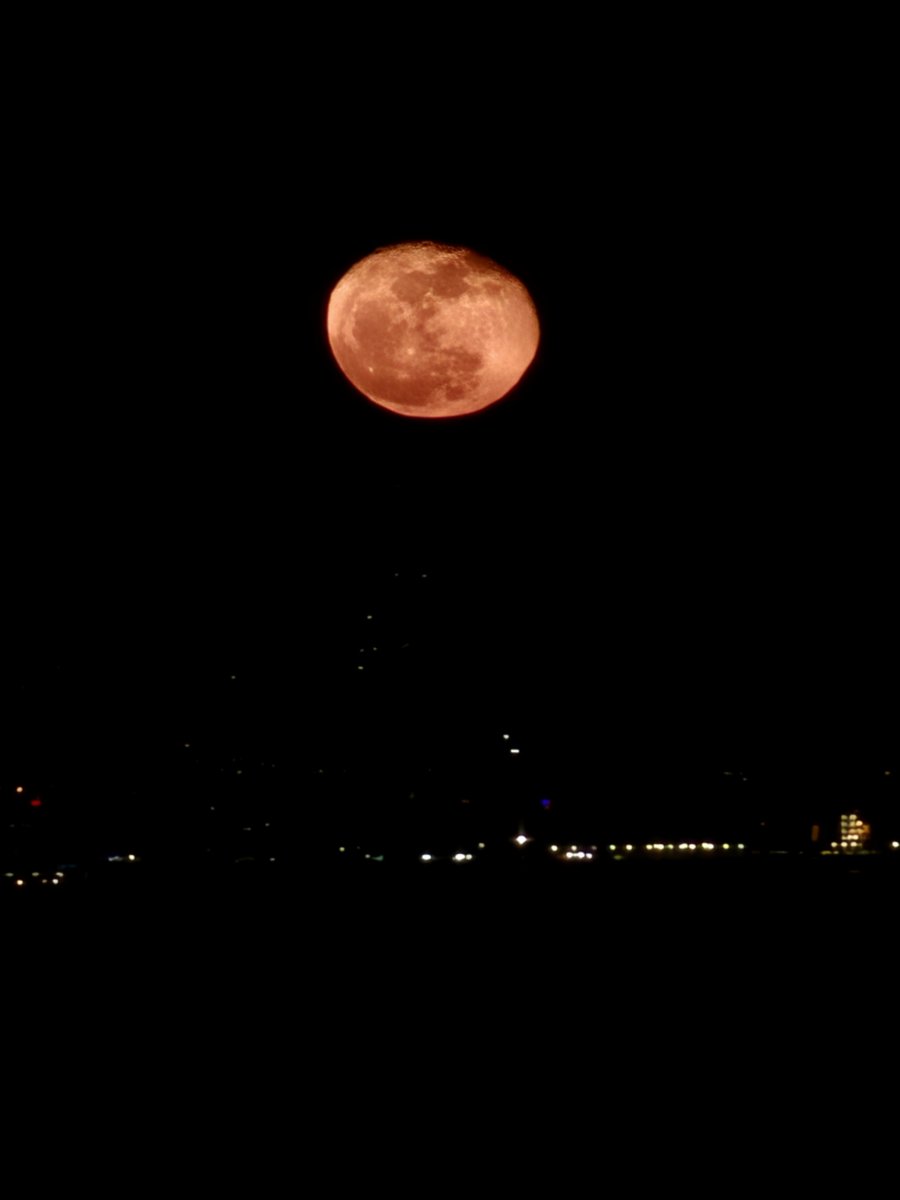 PicX2olo1661852's tweet photo. The moon 🌚 https://t.co/w0c7Vueieq
