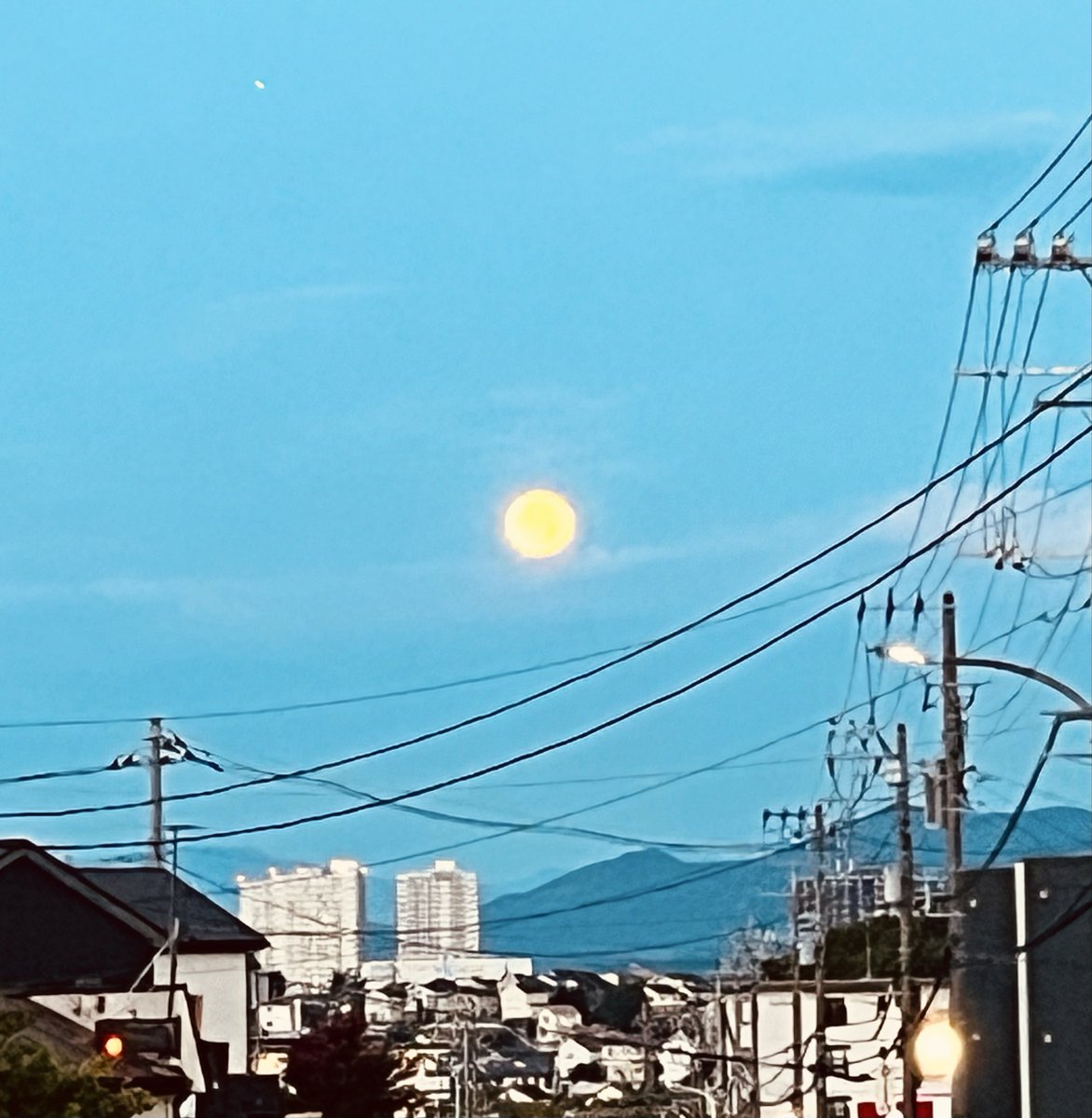 erai_koccha's tweet photo. 早朝コンビニへの路中…なかなかの満月🌕 https://t.co/MFG7bwqzgn