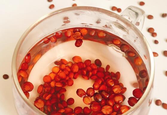XavieraFel71286's tweet photo. Craving a cozy iced honey lemon tea Mix 2 tbsp lemon juice, 1 tsp honey, cold water u0026 ice! Sip and relax instantly. https://t.co/7AdDaQg2Gx