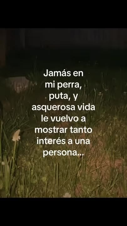 Tarasimp's tweet photo. https://t.co/SpXa7wbyKk
