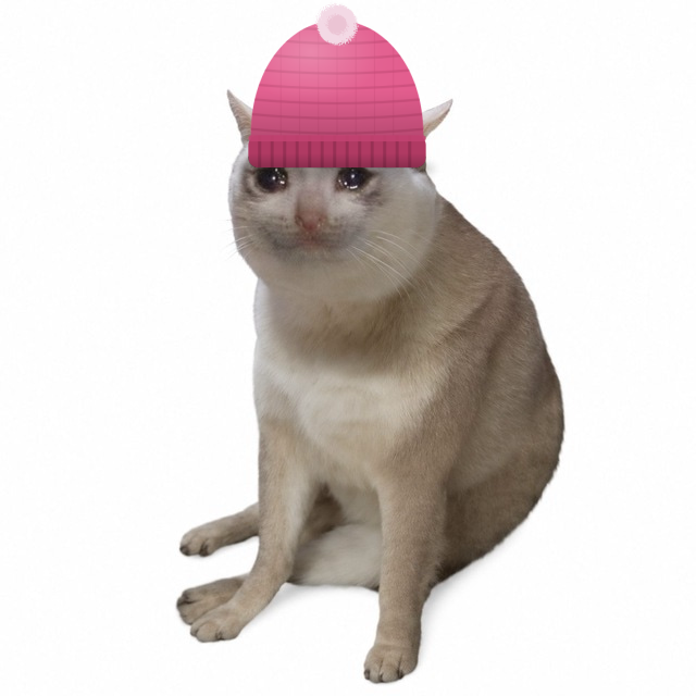 gm_pasta's tweet photo. beanie color of the day: existential grey
matches the market
matches the soul
still polite tho

https://t.co/kHkosJjOjS

#hatcheck #CATHAT https://t.co/irf7w8pVzG