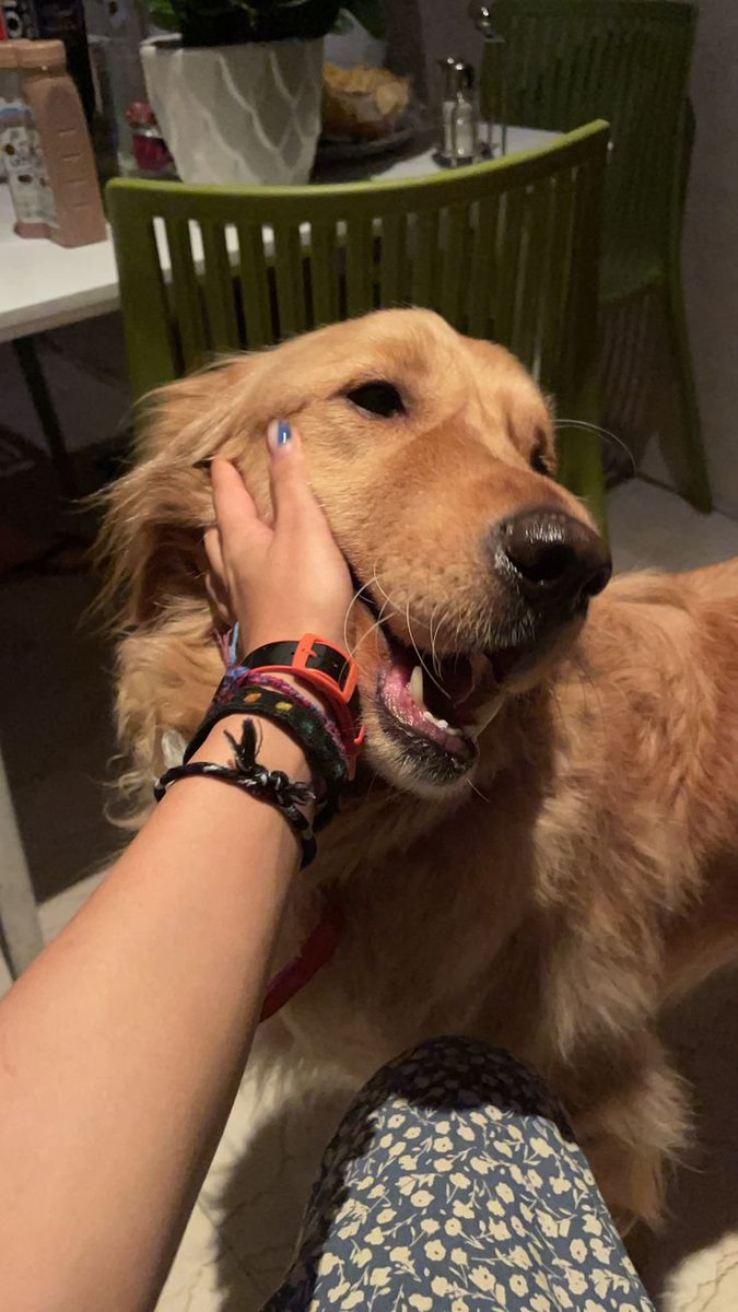 jamilu66's tweet photo. Hello K9 lovers 
#dogknot 
#zoophiletwt
#zootwt 
#jjk242spoilers
Hello K9 lovers
DM on telegram 👇👇👇👇
https://t.co/2tW4p9xuNq

Zangi me 

https://t.co/s74CjqEDkM https://t.co/JkHPyd4gNS
