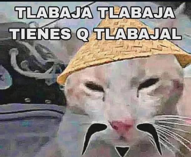 memsaurio's tweet photo. @alephjedi https://t.co/MLNosRMweU