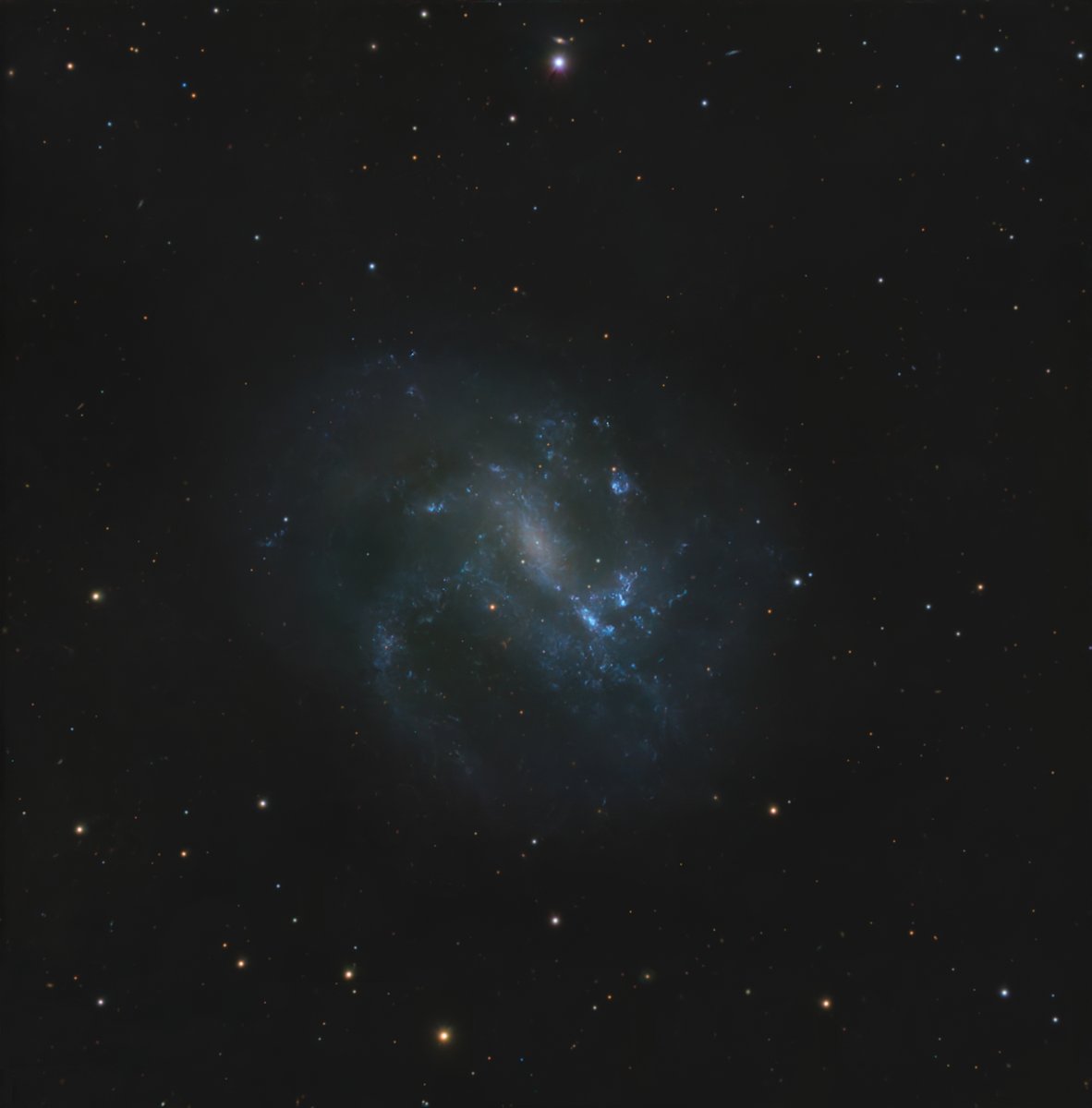 a_backhaus's tweet photo. NGC 4395 in Canes Venatici. 

8h51m with the Celestron C8 @ f/7 https://t.co/nZMl5cS6az