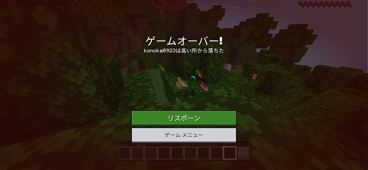 ko___0914's tweet photo. エリトラ取った次の日には無くしてバカ怒られた https://t.co/pcQZcJt083