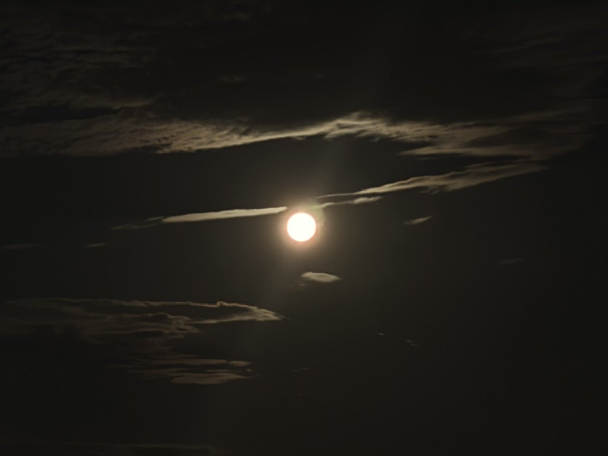 kynt73's tweet photo. 朝の月きれー🌕 https://t.co/8AgJlLSeIJ