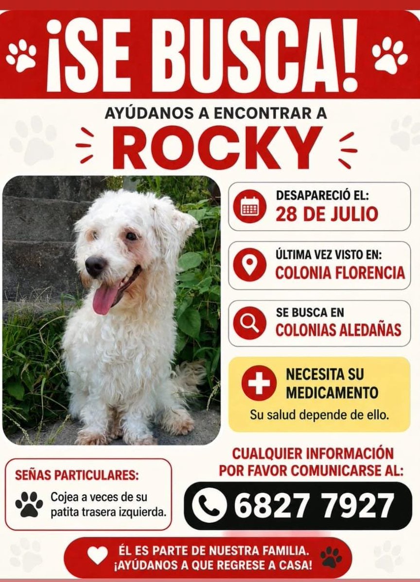 lyssitta's tweet photo. SERVICIO SOCIAL✅️
#SEBUSCA 📣
#EXTRAVIADO ‼️
Buenas tardes, solicito la amable ayuda para encontrar a ROCKY, fue visto por última vez ayer en la mañana en Colonia Florencia, SOYAPANGO. Por favor si hay información de él de encontrarse en colonias aledañas como (Sierra Morena, Las Brisas, Buena Vista, Montecarmelo, Montecristo, La Florida, etc), estaré al pendiente en el 6827-7927, muchas gracias ⚠️⚠️⚠️⚠️⚠️⚠️