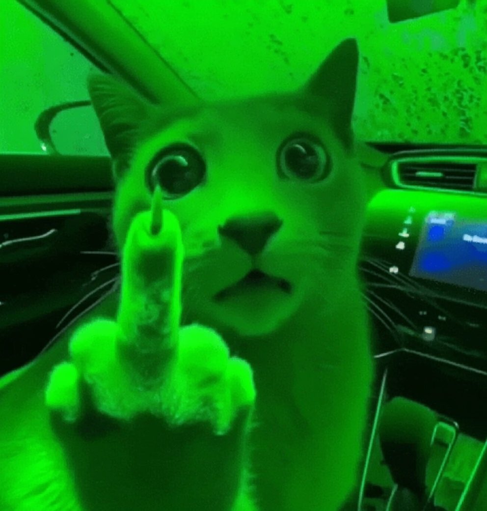 Brick69Flipper's tweet photo. @OnlyLJC Can’t chill all I see is green 
$MarketCat https://t.co/n66V1vaToR