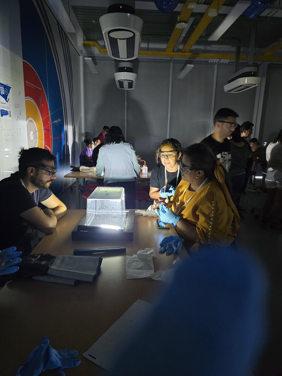 RedGlobalMxCHFL's tweet photo. ⚛️ 5 maestros originarios de #Campeche participan en el International High School Teacher #HST Programme del #CERN, una de las experiencias de formación docente en #ciencias más importantes del mundo. Esta oportunidad fue posible gracias al apoyo de #AMAS🌍 y miembros de #RGMX https://t.co/7XzkdBtzNZ