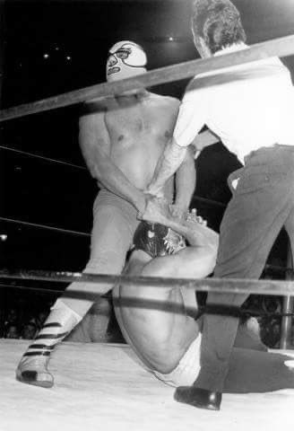 LuchaLibreYYa's tweet photo. #EnUnDíaComoHoy pero de 1977, “Mr. Personalidad” Mil Máscaras y El Halcón llegaban a las últimas instancias y se enfrentaban por las capuchas.

Tras un intenso encuentro en la Arena México, cayo el segundo y conocimos el rostro de José Luis Melchor Ortíz. https://t.co/zXFkaQA339
