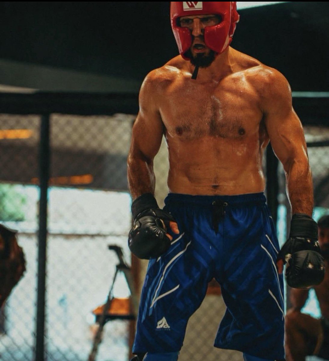 ufc is life tweet media