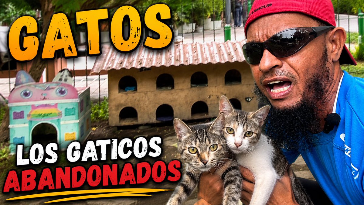 MIKELEZX's tweet photo. EL PARQUE DE LOS GATOS EN MIRAFLORES PERÚ https://t.co/srg3xlu06J vía @YouTube https://t.co/y8POBkXkNT