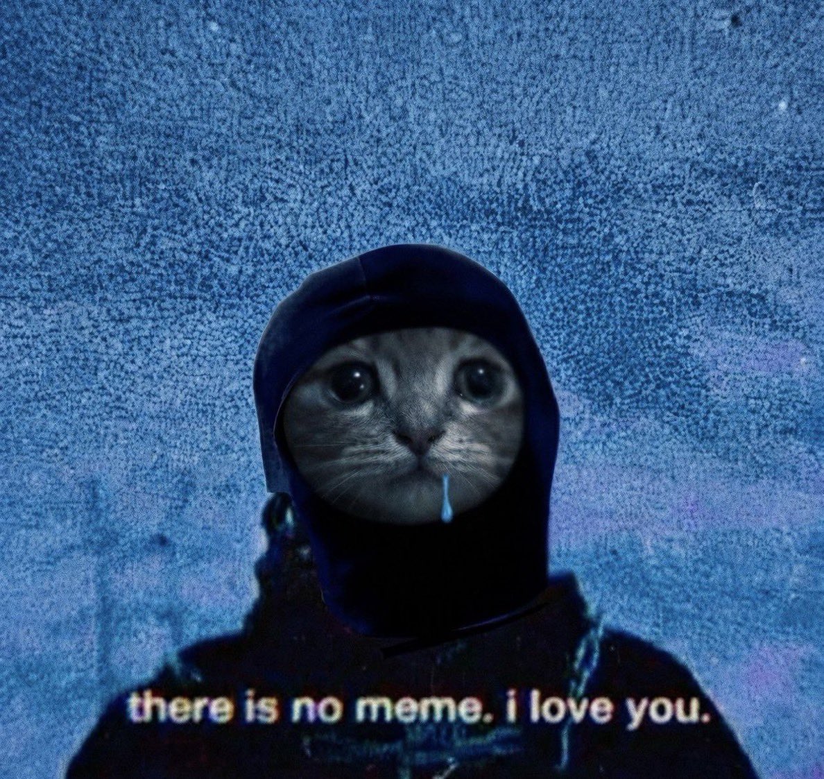 droolingcatCTO tweet picture