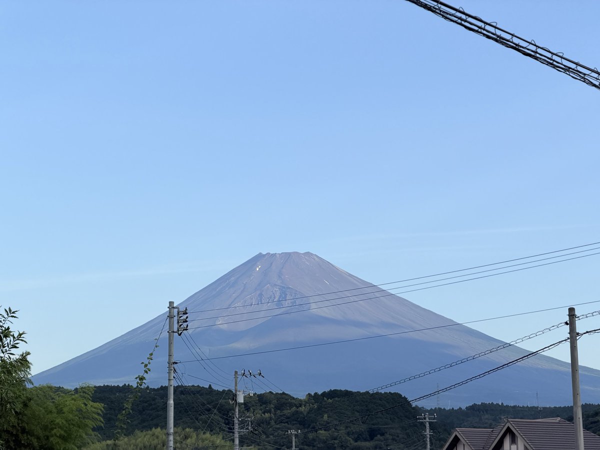 bokarukun's tweet photo. 夏の朝だなぁ https://t.co/1pjQI0AArs