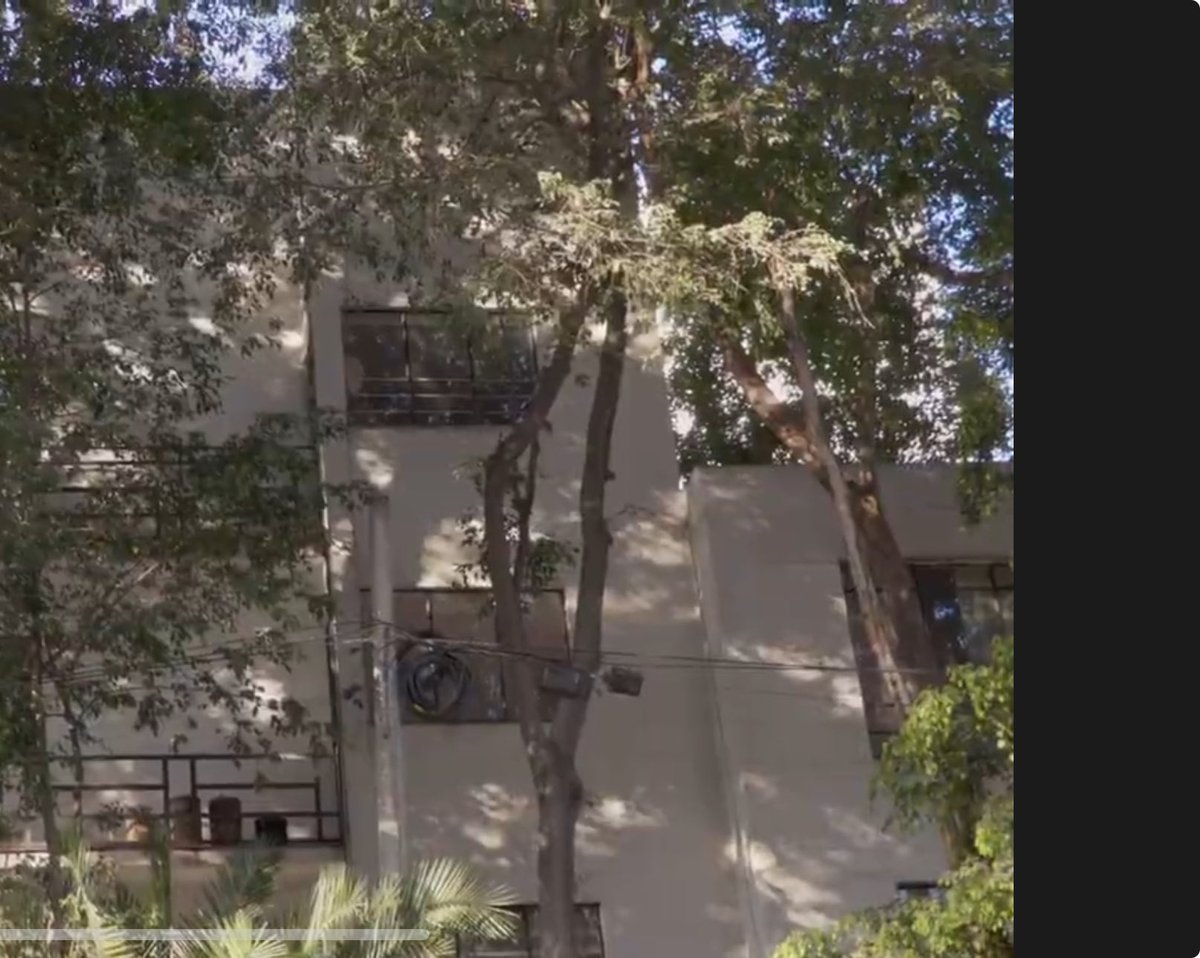 vanenavi's tweet photo. @pcacuauhtemoc @LaColoniaJuarez @AlessandraRdlv @SanRafaCDMX No estaba seco, ese árbol yo lo grabé este año y estaba vivo https://t.co/EhHkRZxGdH