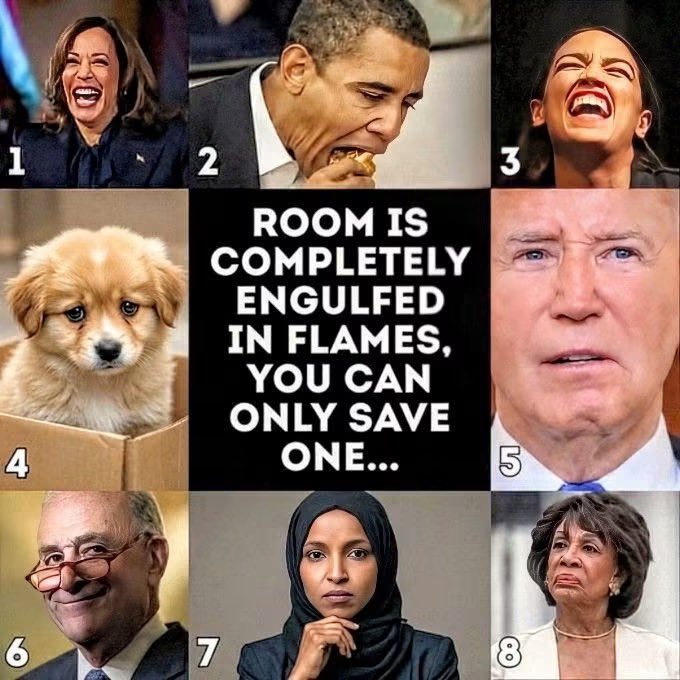 GRANDPA’s FREE ADVICE tweet media