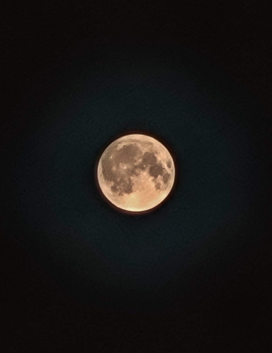 geopupper's tweet photo. The moon yesterday was pretty ^~^ https://t.co/8VtTcHUxyc