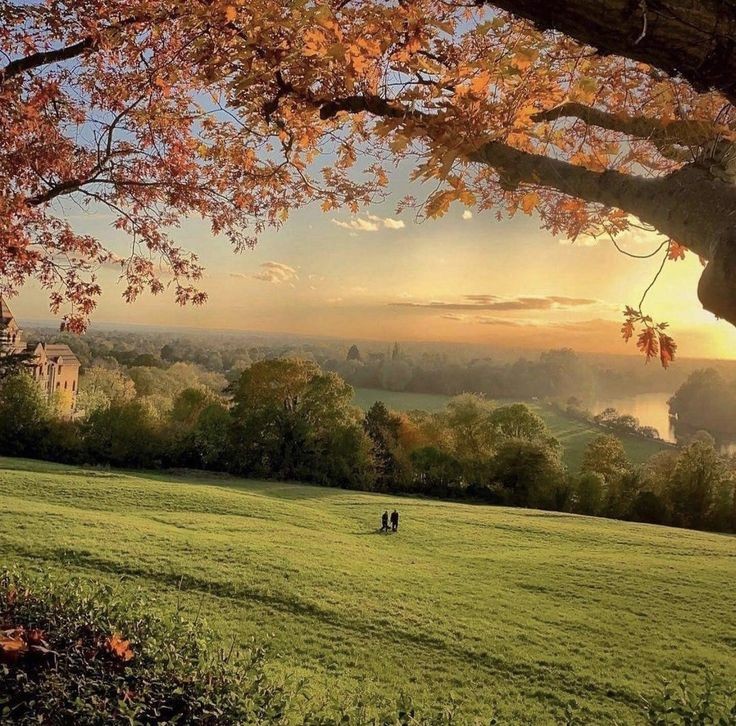 naturehealyou's tweet photo. shades of autumn 🍂 https://t.co/906KDU7cMU