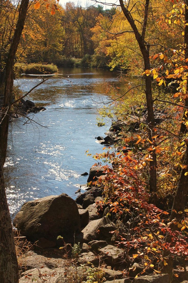 naturehealyou's tweet photo. shades of autumn 🍂 https://t.co/906KDU7cMU