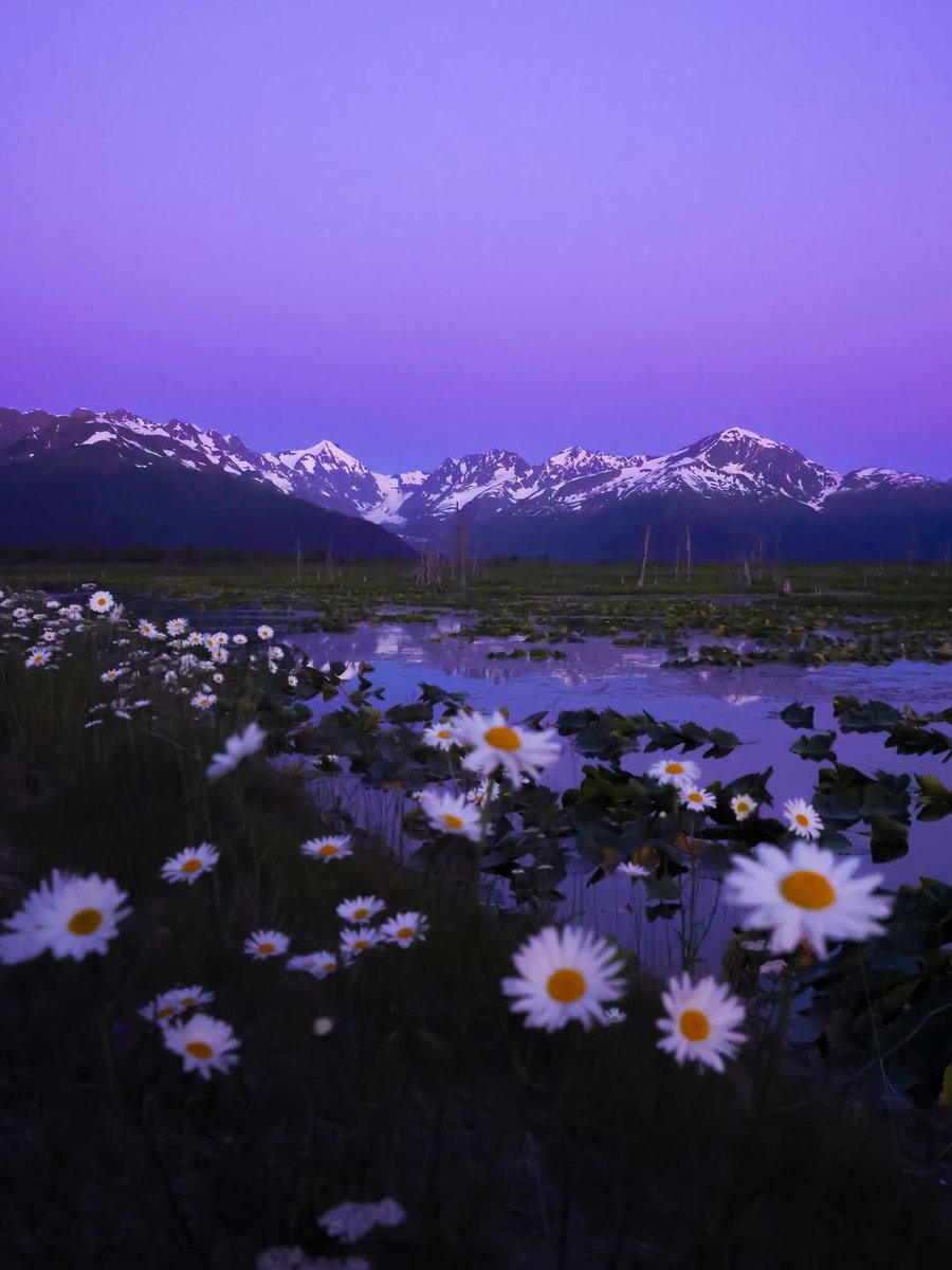 worldclick56's tweet photo. Evening in Alaska 🇺🇲 https://t.co/huJP2vDW7R