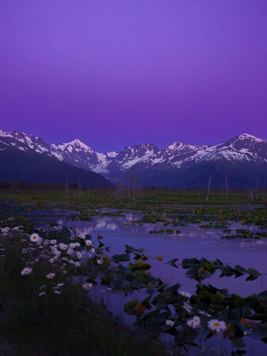 worldclick56's tweet photo. Evening in Alaska 🇺🇲 https://t.co/huJP2vDW7R
