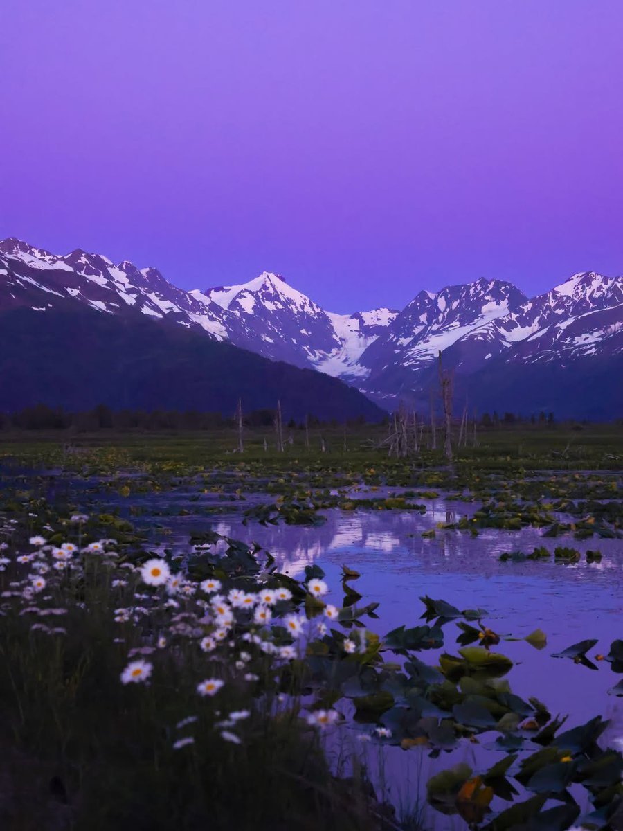 worldclick56's tweet photo. Evening in Alaska 🇺🇲 https://t.co/huJP2vDW7R