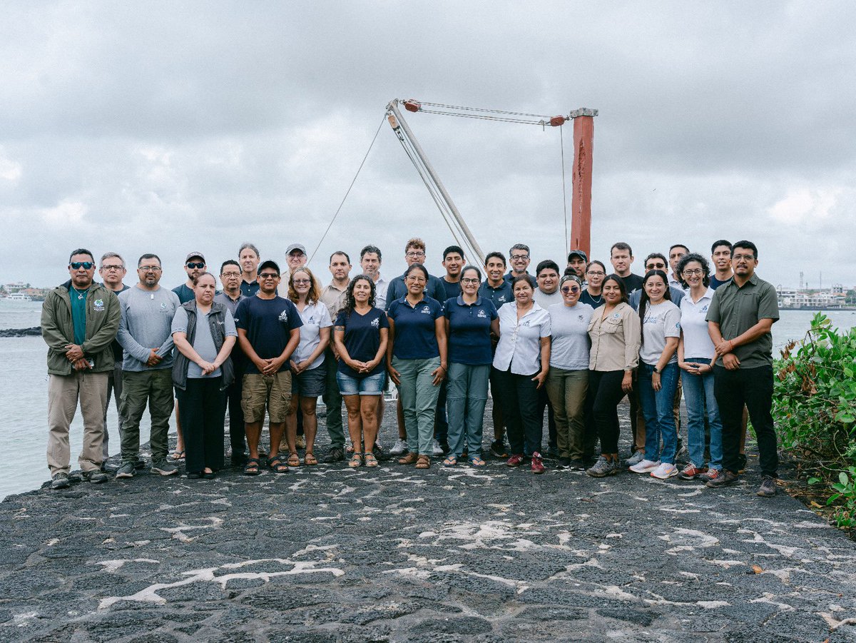 parquegalapagos's tweet photo. 🌊 DPNG fortalece la planificación del monitoreo ecológico frente a un posible evento El Niño

El clima cambia y la naturaleza de Galápagos lo siente. Por eso, la Dirección del Parque Nacional Galápagos trabaja  para conocer qué especies y ecosistemas podrían ser más afectados ante un posible evento El Niño (ENOS) y tomar mejores decisiones de conservación.

En una jornada de trabajo junto a instituciones públicas, universidades, organizaciones científicas y equipos técnicos de la DPNG, se revisó la información disponible y se identificaron los principales grupos que requieren mayor atención, como tortugas marinas y gigantes, aves marinas, iguanas, lobos marinos, tiburones, corales, manglares y ecosistemas terrestres.

➡️ Este análisis permitirá fortalecer los monitoreos que ya se realizan en las islas y enfocar esfuerzos en aquellos lugares y especies donde los cambios del clima y del océano podrían generar mayores impactos.

➡️La información científica es una herramienta clave para anticiparse a los desafíos y proteger el patrimonio natural que sostiene la vida en Galápagos.

Con este trabajo, la Dirección del Parque Nacional Galápagos continúa fortaleciendo una conservación basada en conocimiento, prevención y coordinación entre quienes trabajan por el futuro de las islas.

Gracias al apoyo de la @DarwinFound.