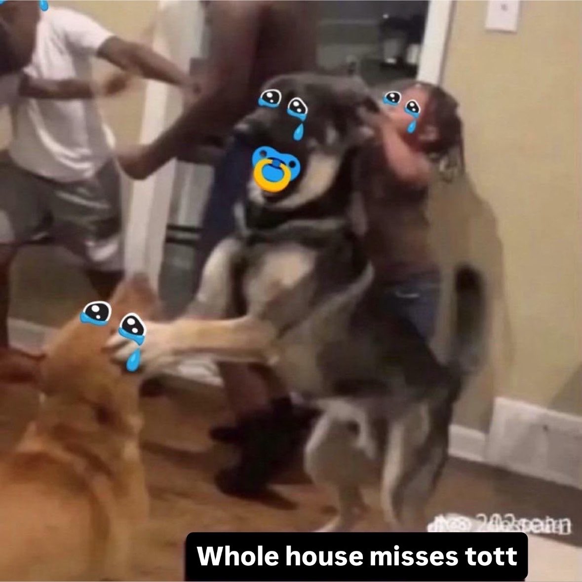 rwikmao tweet picture