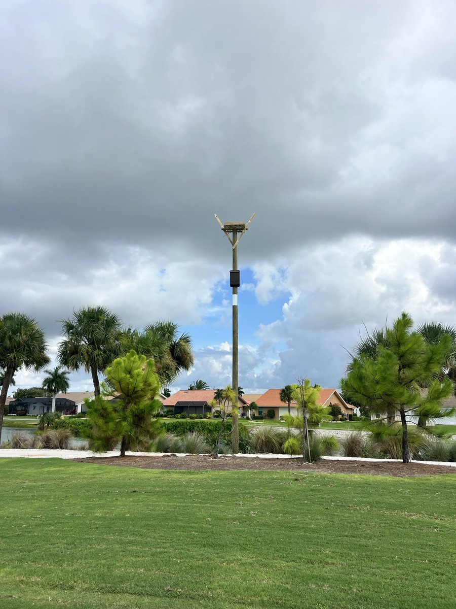 NativeBirdBoxes's tweet photo. Amazing morning setting another Osprey platform with a Bat house attached as well!  @NativeBirdBoxes https://t.co/YuH29jWQ3r