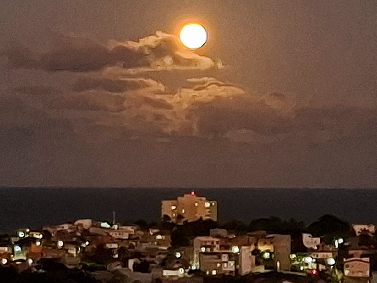 cacoglima49's tweet photo. https://t.co/tPTlMC8es6