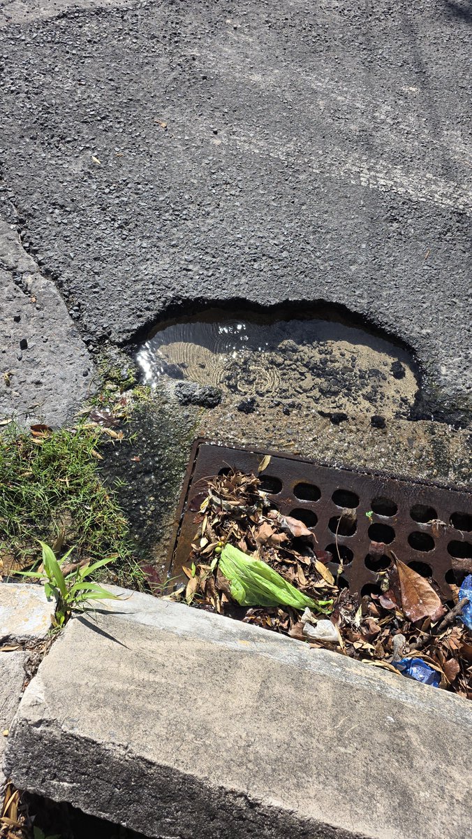 Rodri503Javier's tweet photo. Llamado para @ANDASV para reparar esta fuga de agua potable lo mas pronto posible en @centroAmericass  San Salvador, ya tiene varios días asi. 
Gracias https://t.co/EUGHrxPCGZ