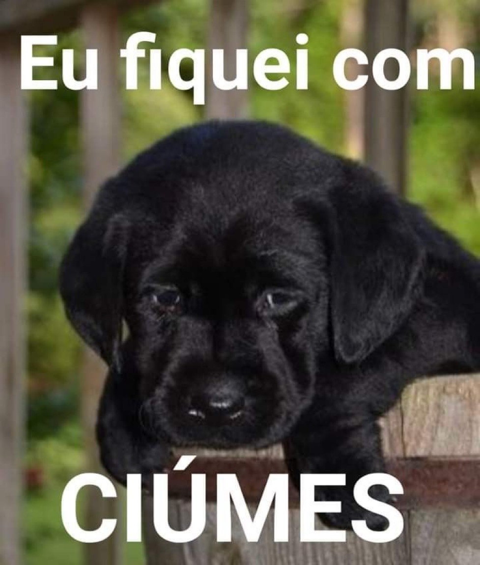 relacionemos's tweet photo. https://t.co/7Dsv1LcL9v