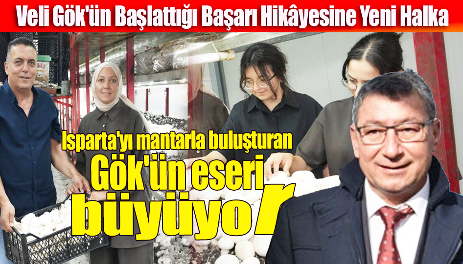 samet536's tweet photo. https://t.co/JbamUohF6i https://t.co/WdLjamKnj8
