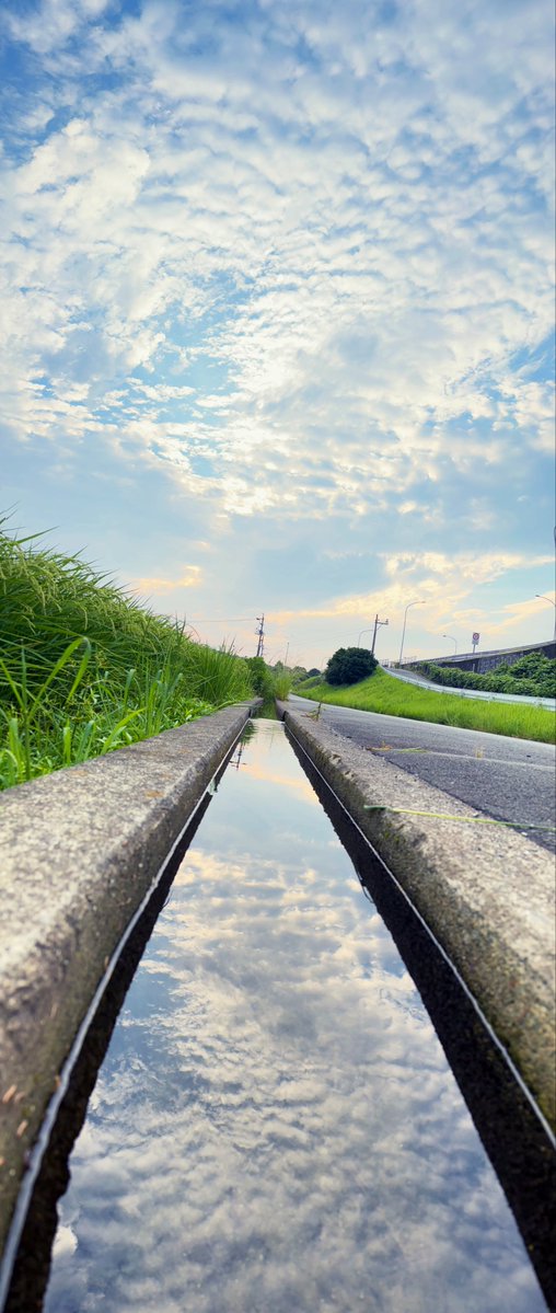crocus0046_vrc's tweet photo. Cパート
水路うおwからの空どわーw https://t.co/Z2MglVypOd