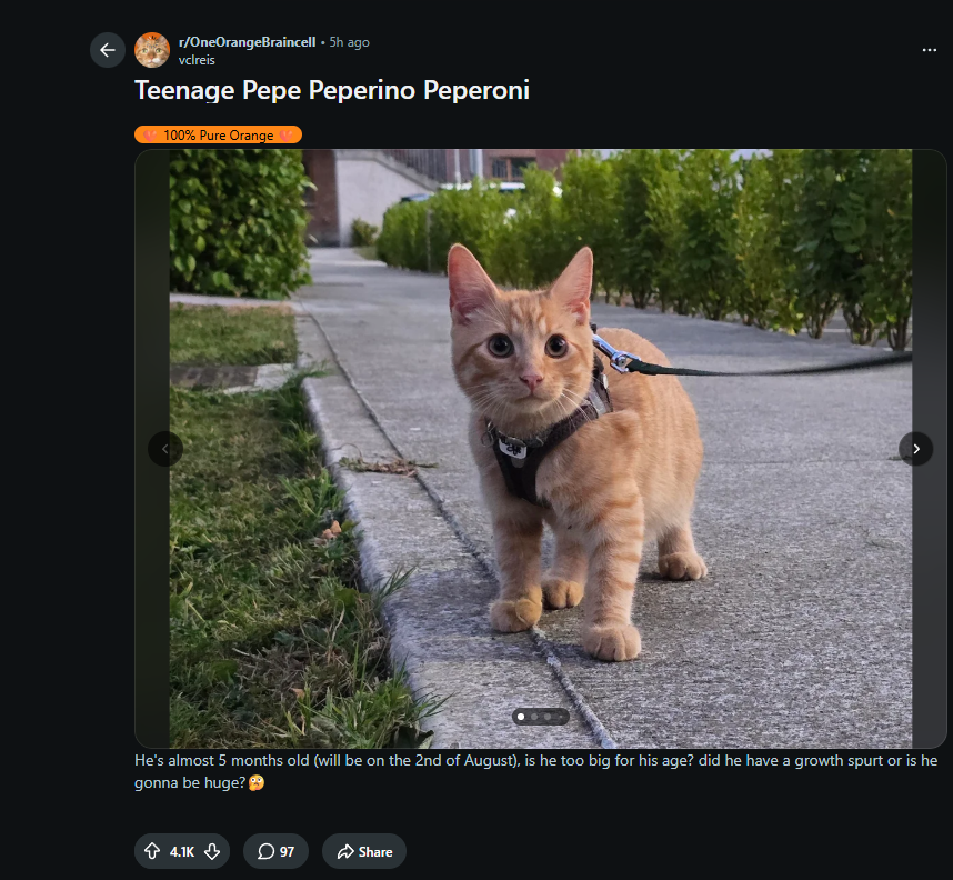 abrawlerj (redemption arc) tweet media