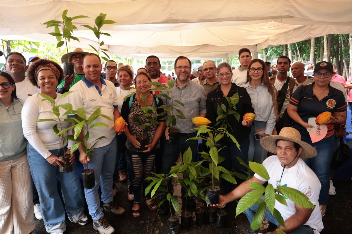 yvangil's tweet photo. Desde el Centro Nacional de Investigación, Desarrollo e Innovación del Cacao (CENIDIC) en Caucagua, y en nombre de la presidenta encargada Delcy Rodríguez, hemos respaldado al pueblo productor en su esfuerzo por la soberanía alimentaria de Venezuela. Hoy, hemos entregado más de 7.540 plantas de cacao de alta calidad a los productores de los municipios Páez y Acevedo en Miranda. Esta iniciativa refleja nuestro compromiso con quienes están en la primera línea de la producción nacional, donde cada planta representa más de un año y medio de dedicación.

Venezuela honra su historia y tradición con el apoyo del Mincyt y del Gobierno Bolivariano, convirtiendo estas plantas en un motor para el renacimiento del país.

#ManosCreadoras