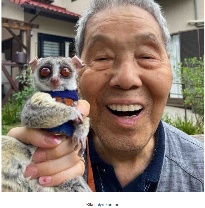 pluto7000's tweet photo. this is a fresh animal from kabosu mama blog so memeable https://t.co/3MGm0z5Yn1