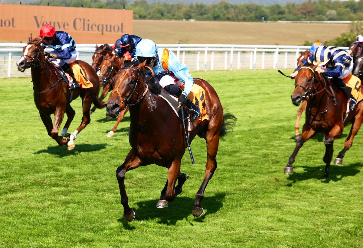weatherbysltd's tweet photo. An updated pedigree for Pershaada @rhannonracing @MprUpdates who impressed when landing the Group 3 Molecomb Stakes @Goodwood_Races .

She’s a first Group winner for her sire Persian Force @TallyHoStud - who is currently leading the first season sires’ table with fifteen individual winners.

Out of Listed winner Mild Illusion (pic) the filly was bred by @TallyHoStud and purchased by @Doyle_Racing for 88,000gns from @Tattersalls1766 Book 1.
